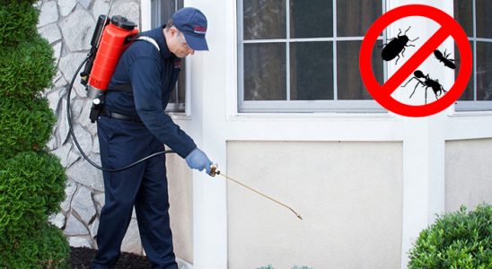 Kepsut Akrep İlaçlama böcek ilaçlama ve haşere kontrolü — ilaclama-tr.com